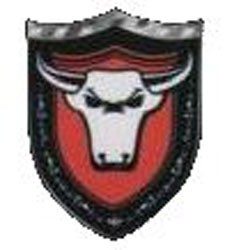 BISON