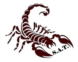 SCORPION ASSAULT TACTICAL
