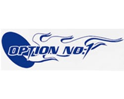 OPTION NO.1